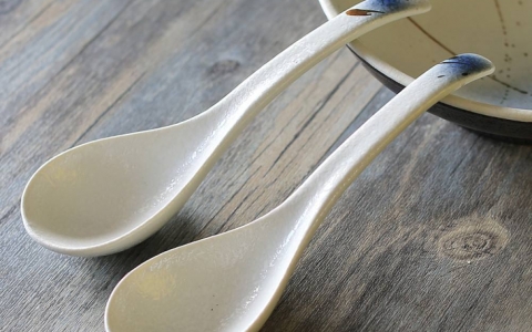 Rhino犀牛流动曲线视频教程演示-调羹汤勺建模