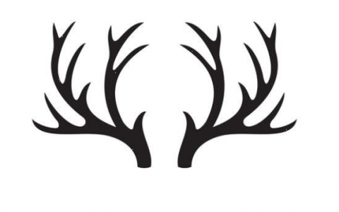 Elk插件Grasshopper制作地形插件